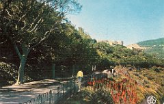480-la Promenade de Letang